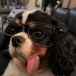 Meet your Posher, Velina